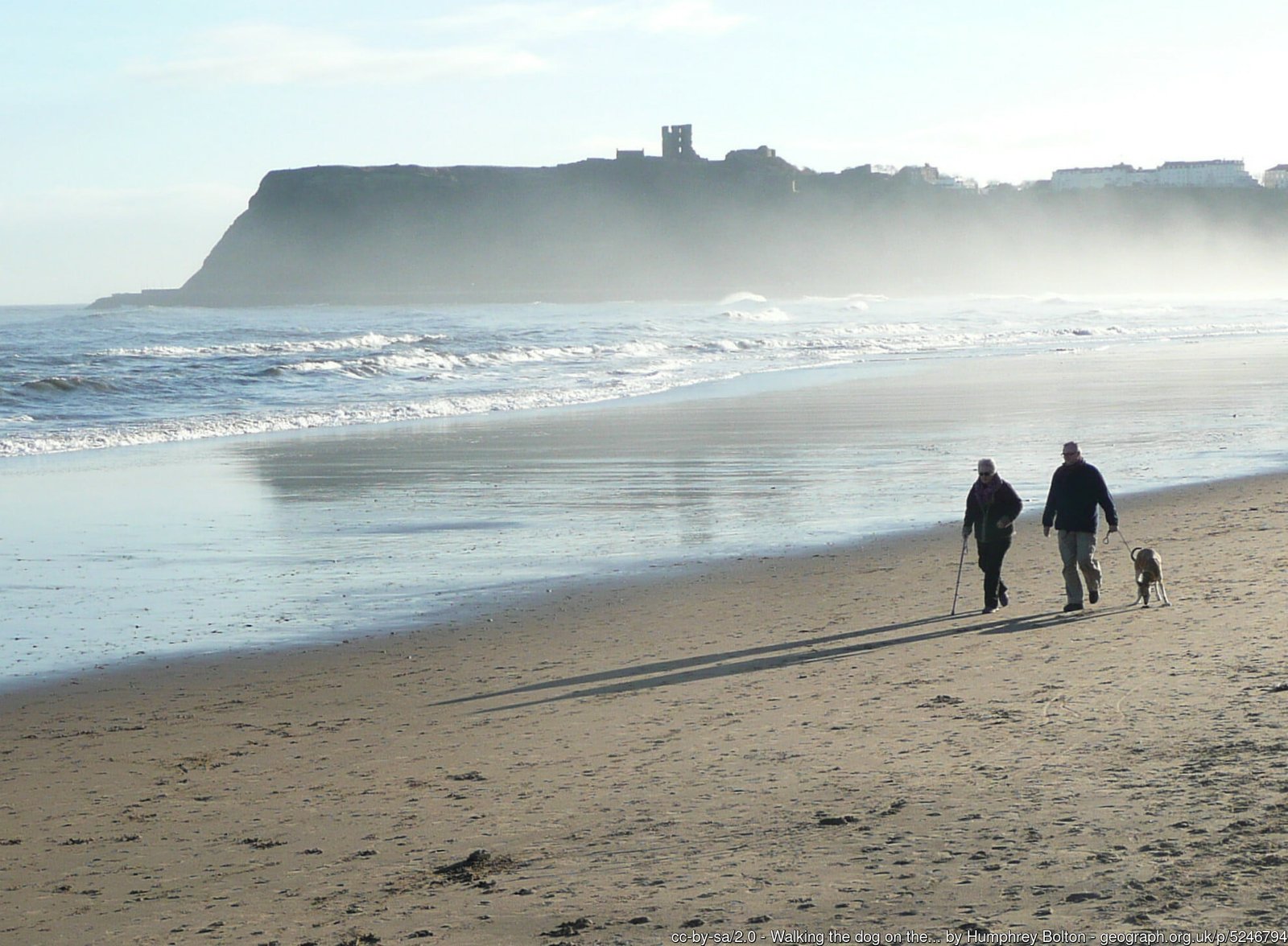 Dog beach