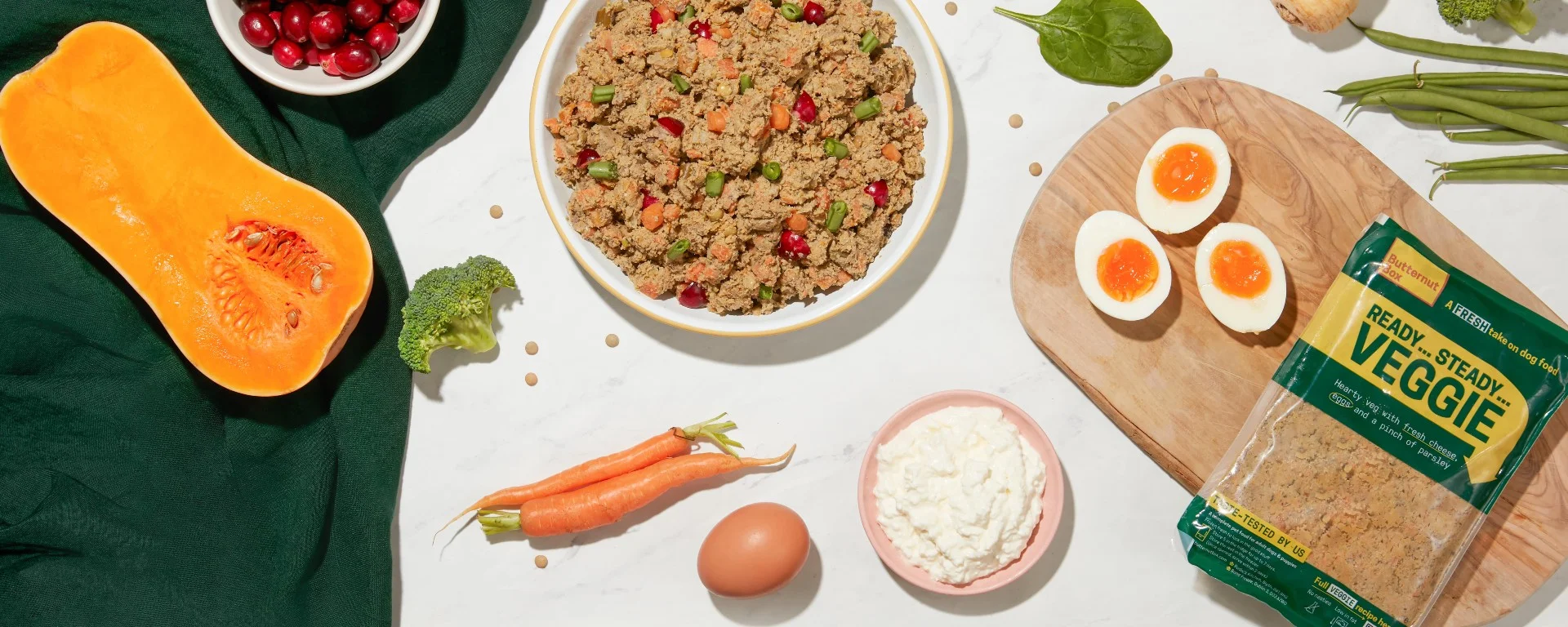 dog food