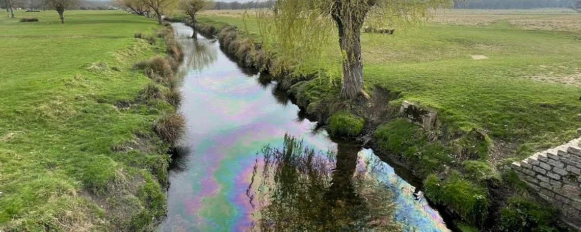 Richmond Park oil spillage