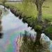 Richmond Park oil spillage