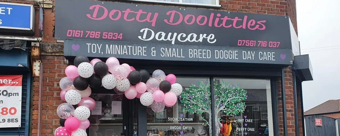 shop window