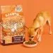 dog eating kibble