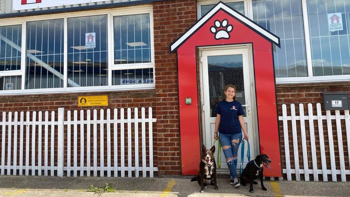 Fareham's Dog Day Care focuses on small and toy breeds