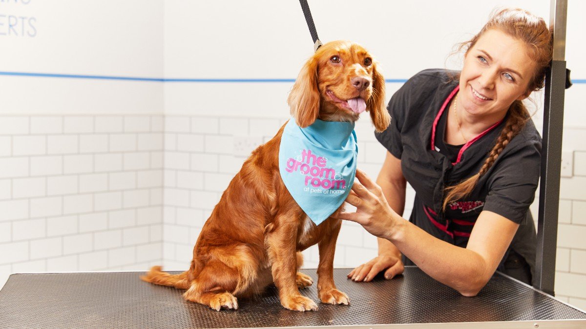 Cambridge welcomes new Pets at Home grooming salon