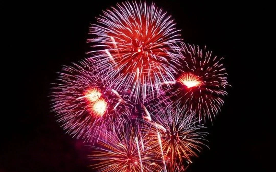 Fireworks fright