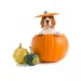 dog in pumpkin