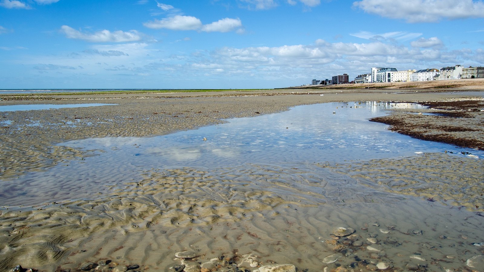 Dog walkers warned over 'highly toxic' substance on Sussex beaches