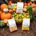 dry dog food surrounded by fruit and vegetables