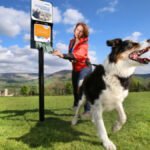 Petplan helps dog walkers clean up 