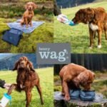 Henry Wag launches four travel accessories