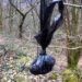 dog poo bag tied on tree