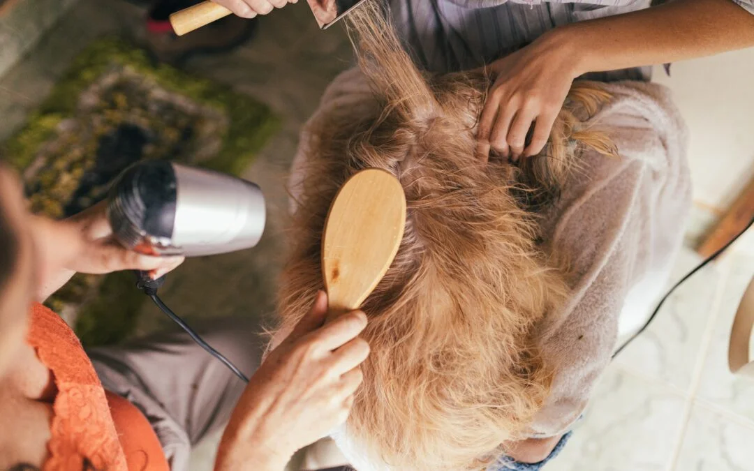 Viewpoint: Pet grooming products – it is time to take a stand
