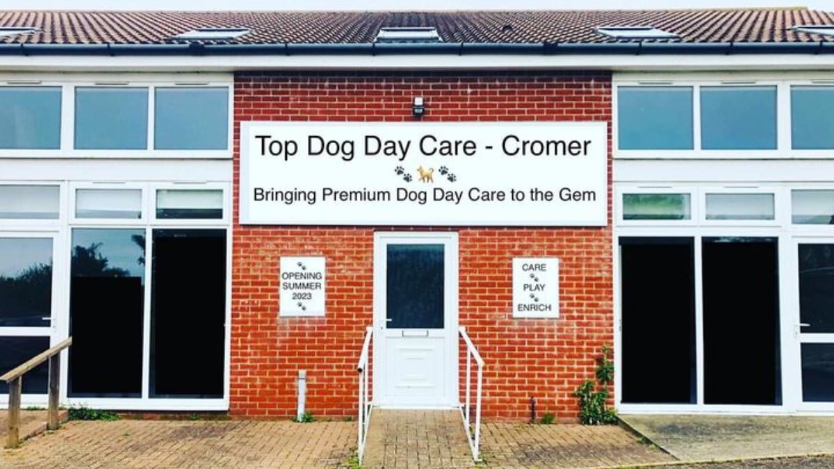 Cromer to new doggy daycare The Canine Times