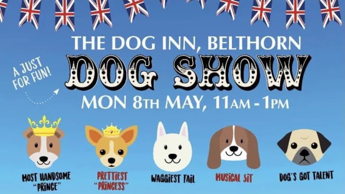 Lancashire groomer to stage ‘royal dog show’ to mark coronation - The ...