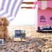 a dog on the beach with ice cream