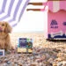 a dog on the beach with ice cream