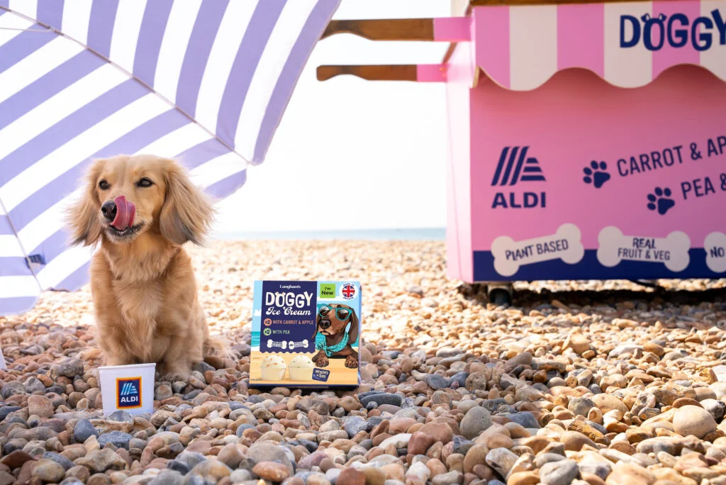 a dog on the beach with ice cream