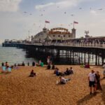 Brighton and Hove reviews dog controls