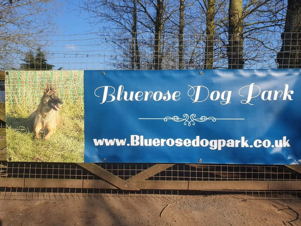 dog park poster