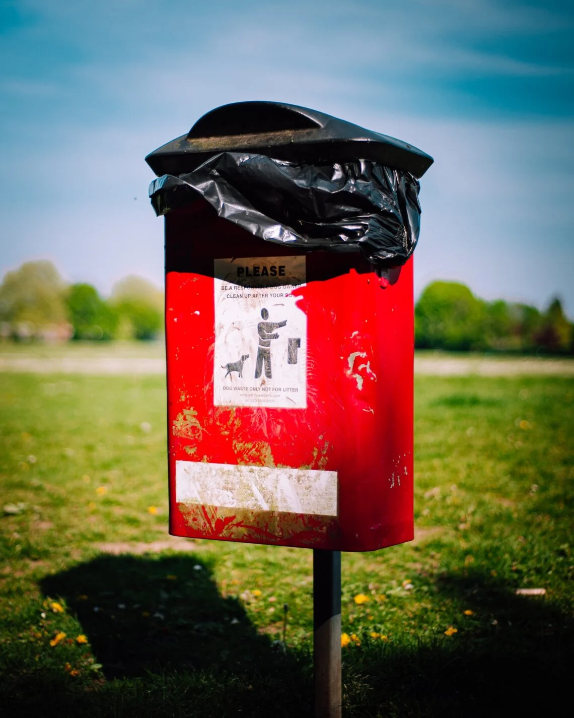 dog bin