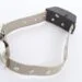 a shock collar