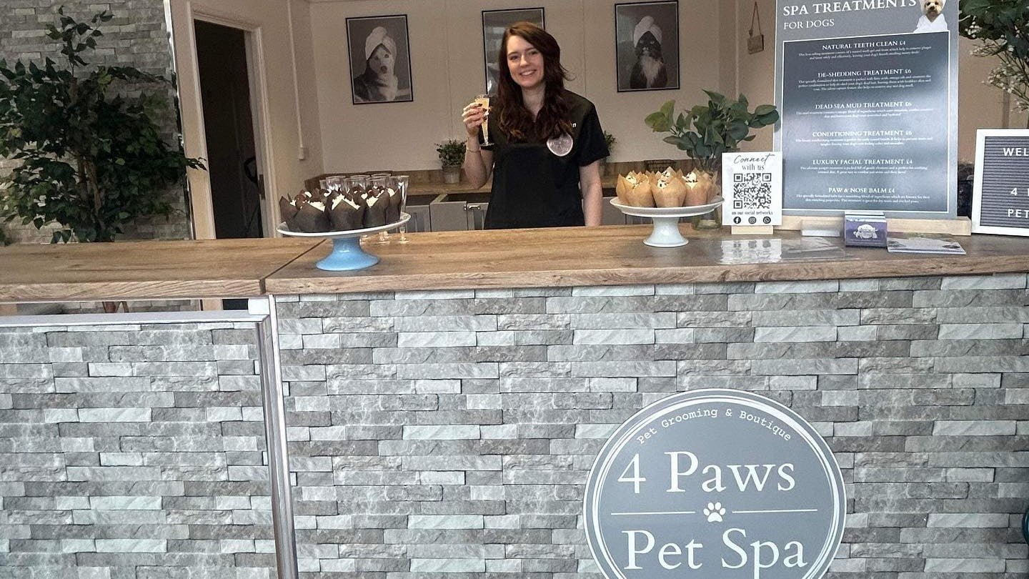 Spa 4 paws sales grooming