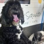 Royal Wootton Bassett to get self-service dog wash
