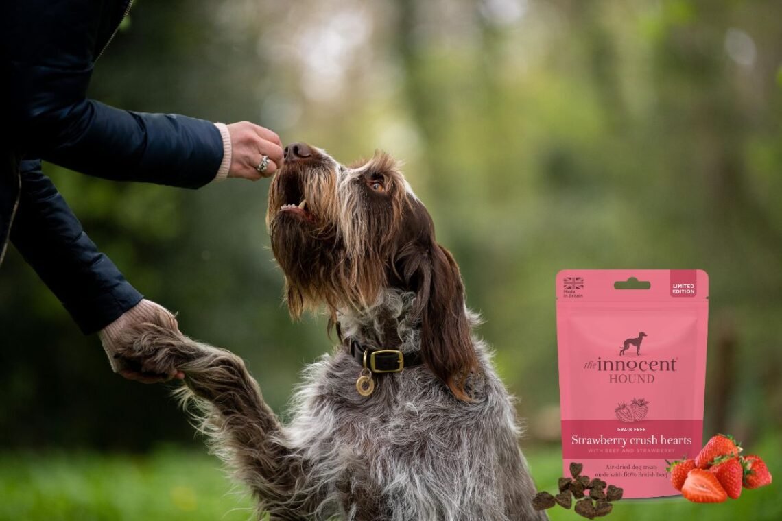 a dog receiving a treat