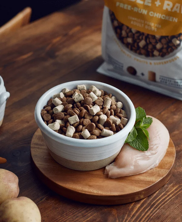 a bowl of dog food