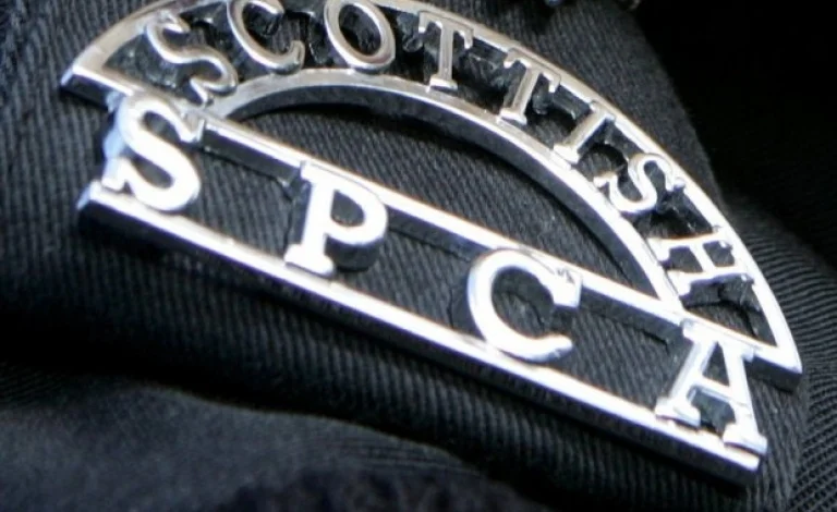 Scottish SPCA badge