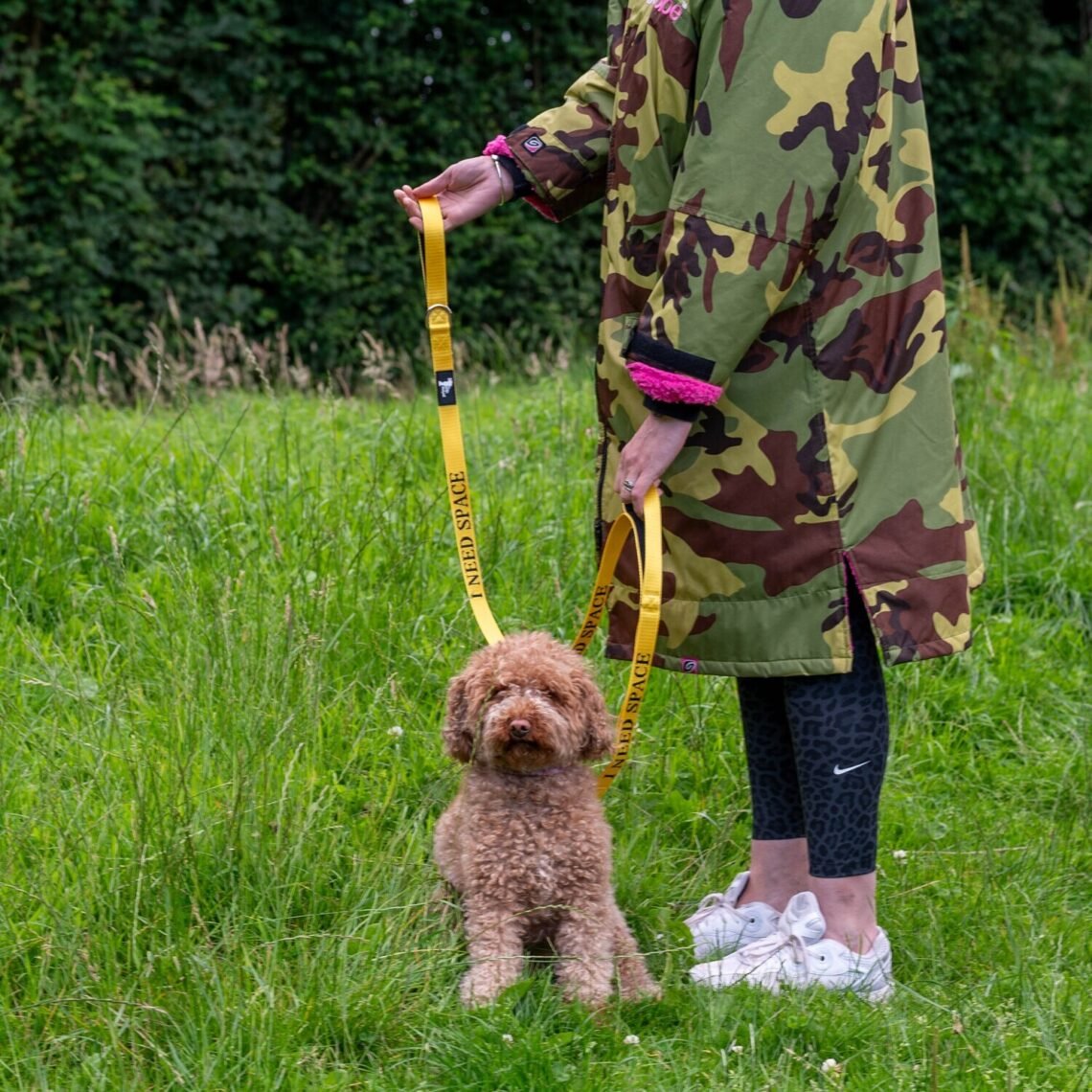 a person holding a dog with a lead on