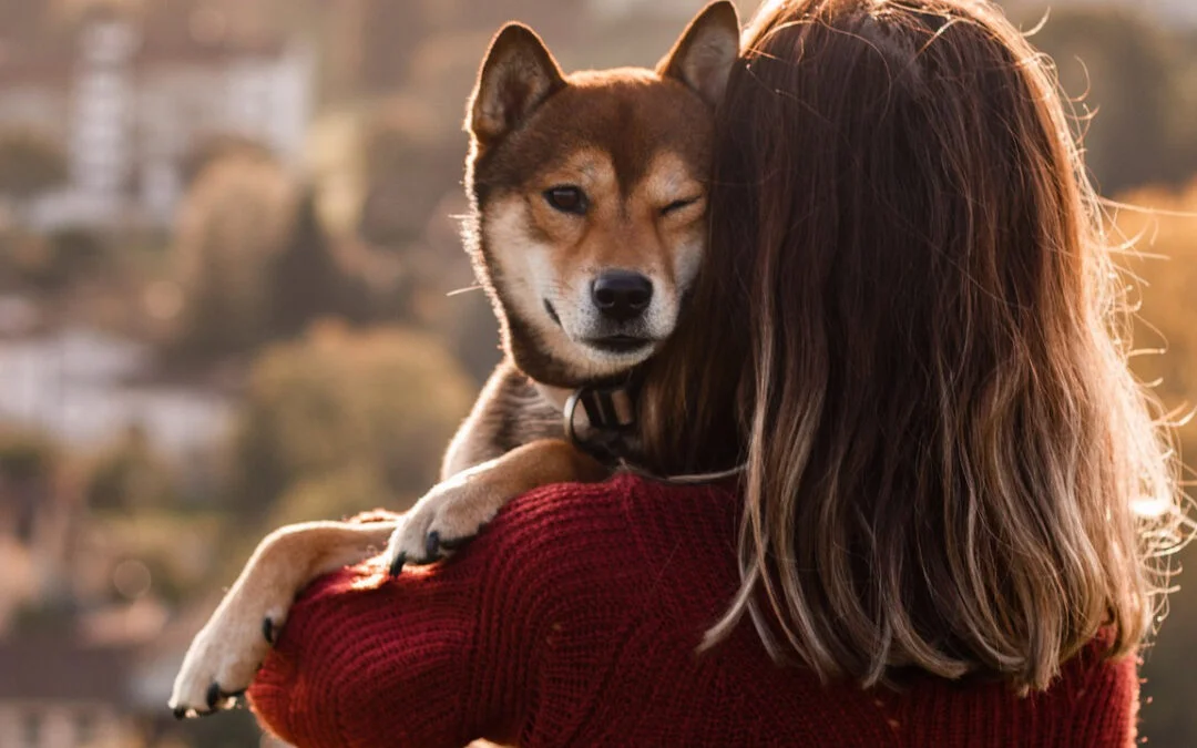 Too much Valentine’s Day love for our dogs?