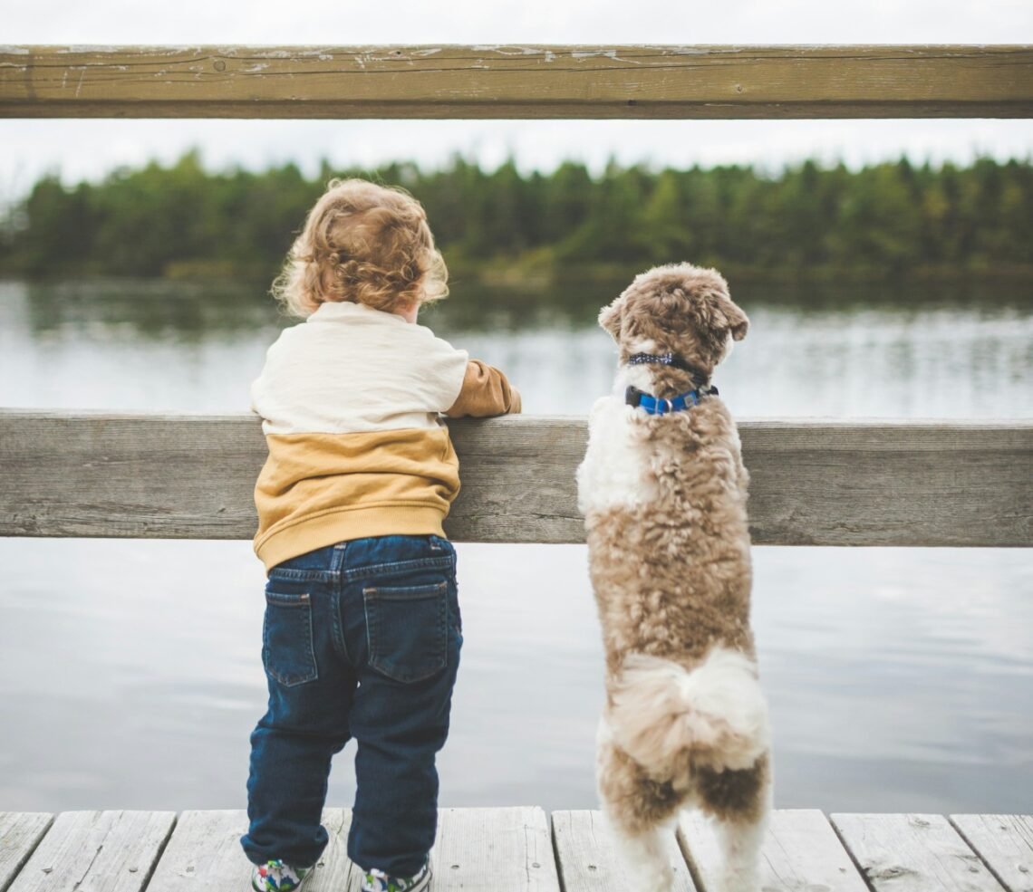 a child and a dog together