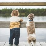 Study finds link between having a dog and children's physical activity