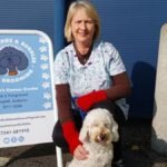Andover dog grooming business secures council grant