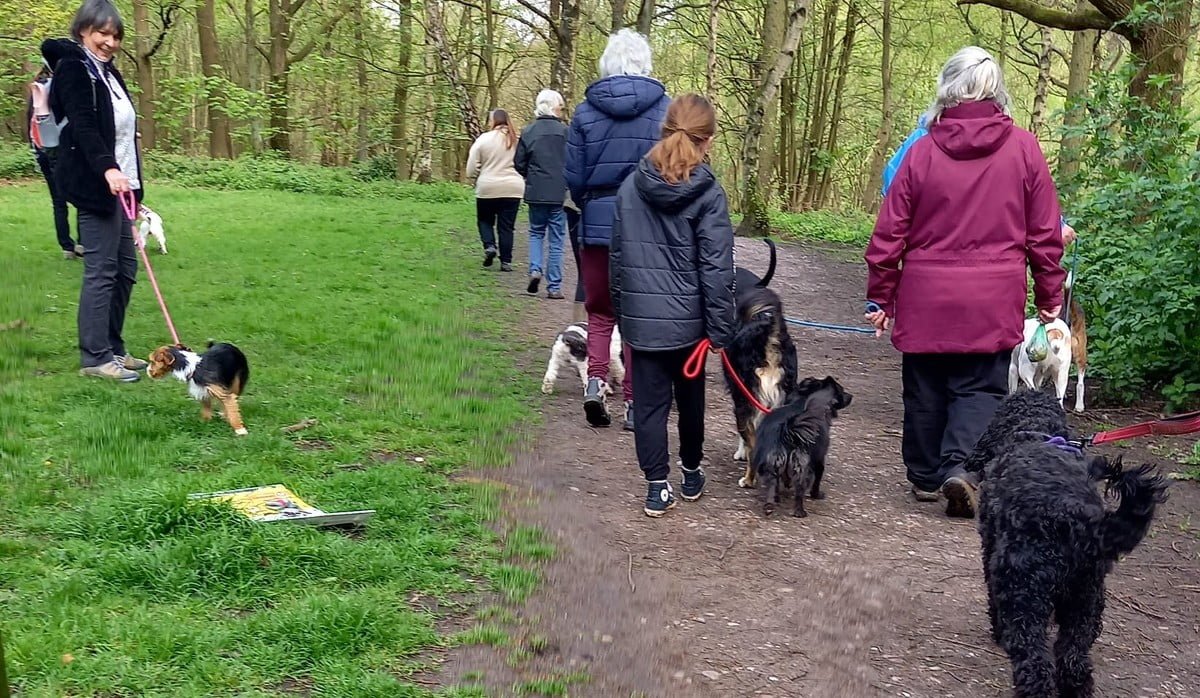 Nottingham Dog Trainer Holds Charity Walk - The Canine Times