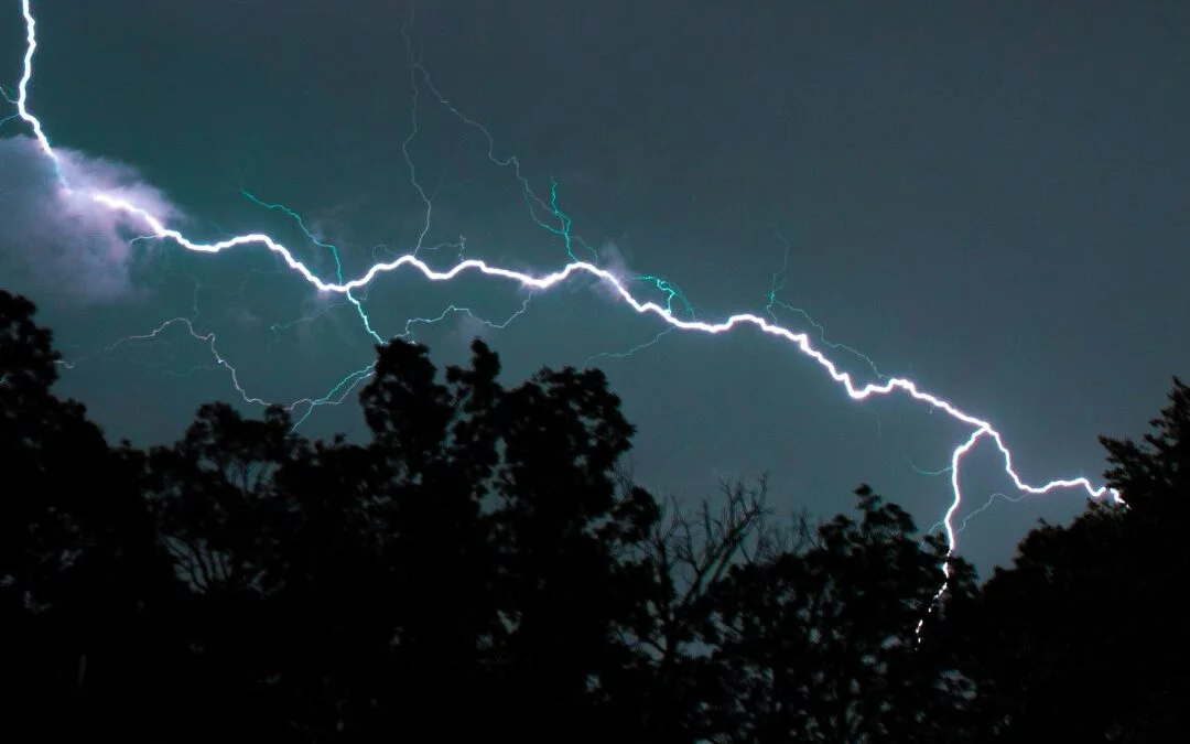 How to keep dogs calm in storms
