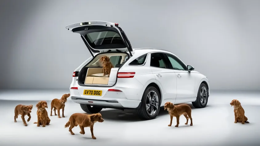 dogs in SUV