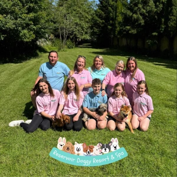 Meet the DPA 2024 winners: Reservoir Doggy Resort & Spa - The Canine Times