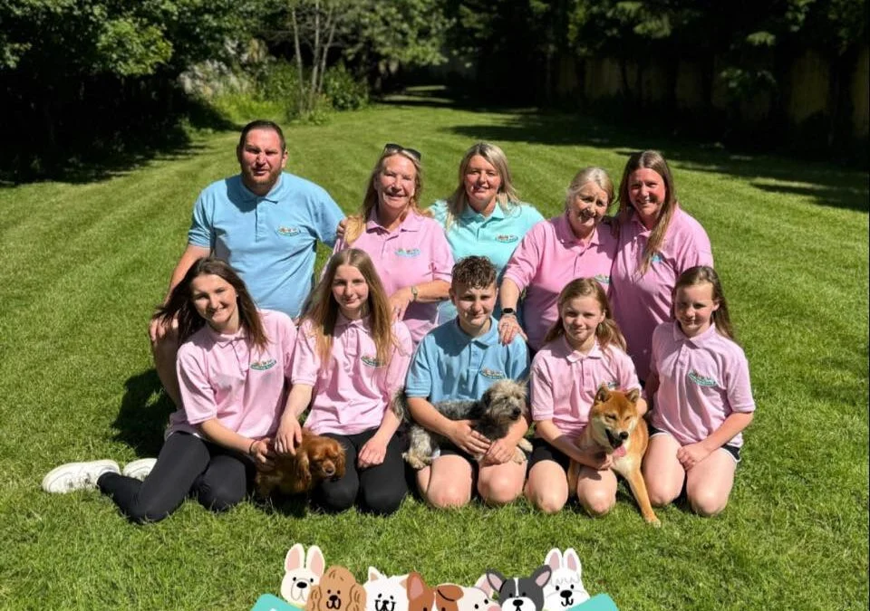Meet the DPA 2024 winners: Reservoir Doggy Resort & Spa